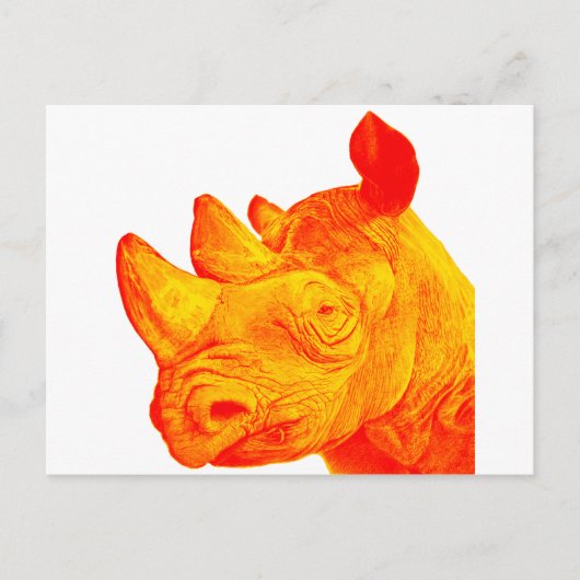 DAS SONNY RHINO POSTKARTE (Vorderseite)
