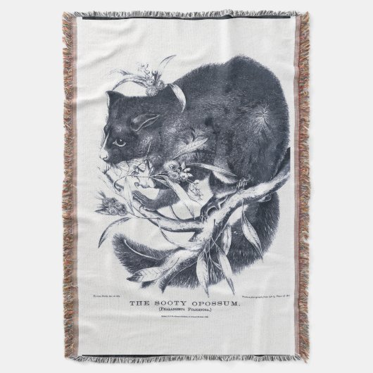 Das Sooty Opossum Decke (Vorderseite Vertikal)