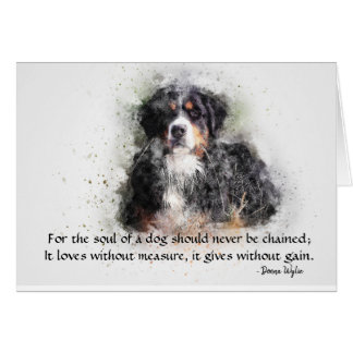 Das Soul eines Hundes - Berner Hund