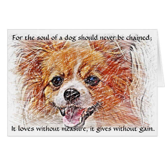 Das Soul eines Hundes - Chihuahua (Vorderseite (Horizontal))