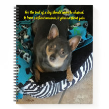 Das Soul eines Hundes