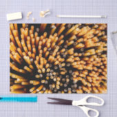 Das Spaghetti Träger Top Seidenpapier (Handwerk)