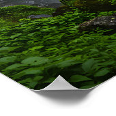 Das Spektrum der Fälle Poster (Ecke)