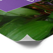 Das sprichwörtliche Glück begünstigt das tapfere P Poster (Ecke)