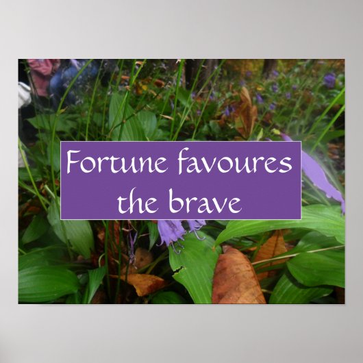 Das sprichwörtliche Glück begünstigt das tapfere P Poster (Vorne)