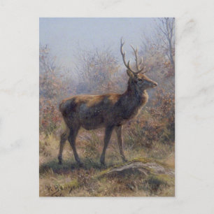 Das Stag von Rosa Bonheur Postkarte