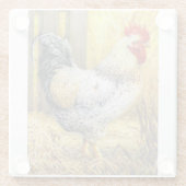 Das Stallorster Glasuntersetzer (Rückseite)