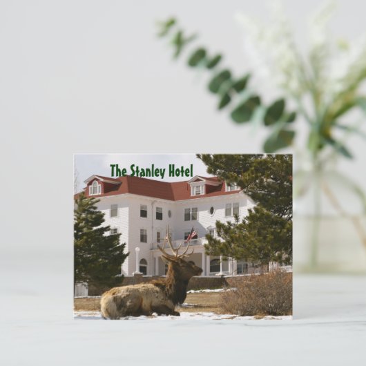 Das Stanley Hotel Postcard Postkarte (Stehend Vorderseite)