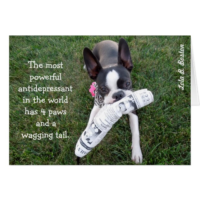 Das stärkste Antidepressivum… LEERE KARTE (Vorderseite (Horizontal))