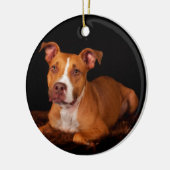 Das süße Pitty Keramik Ornament (Links)