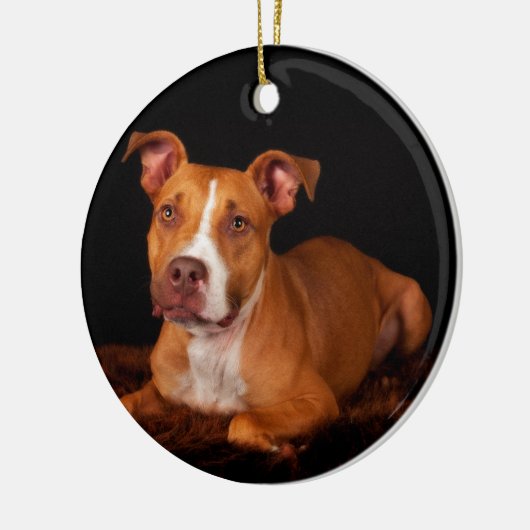 Das süße Pitty Keramik Ornament (Links)