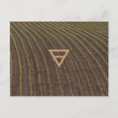 Das Symbol der ElementEarth Postkarte (Vorderseite)