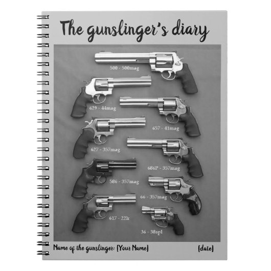 Das Tagebuch des Schießwarters grau (Vorderseite)