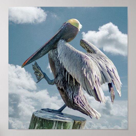Das tanzende Pelican Poster (Vorne)