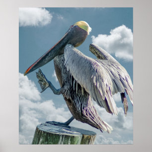 Das tanzende Pelican Poster