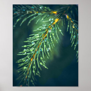 Das Tapestry der Natur: Die Schönheit der Blätter  Poster