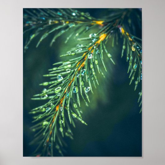 Das Tapestry der Natur: Die Schönheit der Blätter  Poster (Vorne)