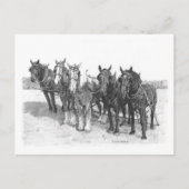 Das Team Postkarte (Vorderseite)