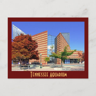 Das Tennessee Aquarium - Chattanooga, TN. Postkarte