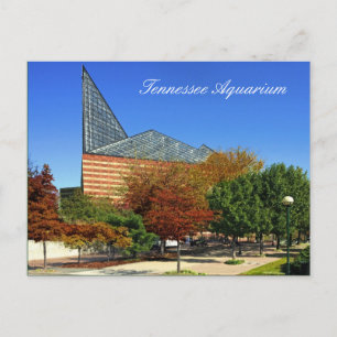 Das Tennessee Aquarium - Chattanooga, TN. Postkarte