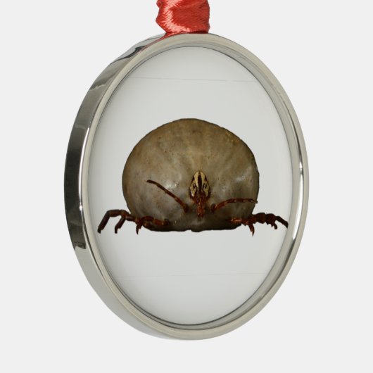 Das Ticken Ornament Aus Metall (Rechts)