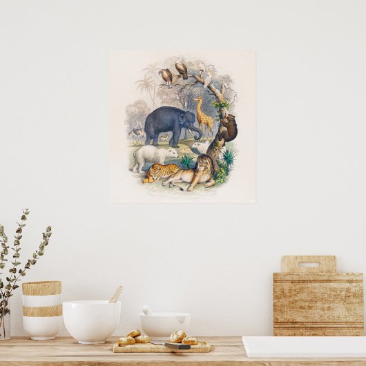 Das Tierreich-Poster Poster (Küche)