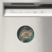 Das Tig Magnet (In Situ (Geschirrspüler))