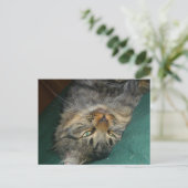 Das Tig Postkarte (Stehend Vorderseite)