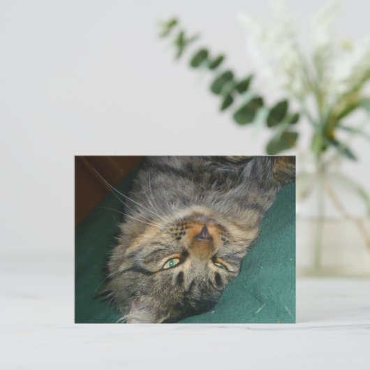 Das Tig Postkarte (Stehend Vorderseite)