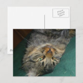 Das Tig Postkarte (Vorne/Hinten)