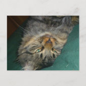 Das Tig Postkarte (Vorderseite)