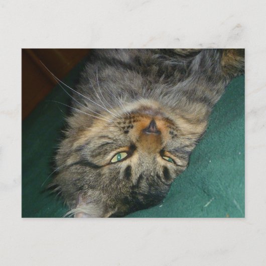 Das Tig Postkarte (Vorderseite)