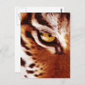 Das Tigeraugenfoto Postkarte (Vorne/Hinten)