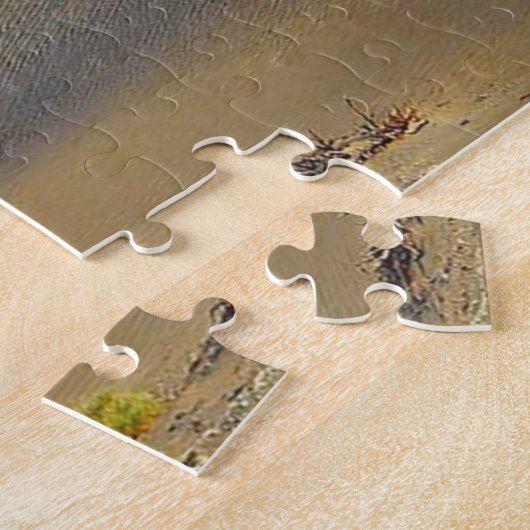 Das Todestal Nevada. Puzzle (Seite)