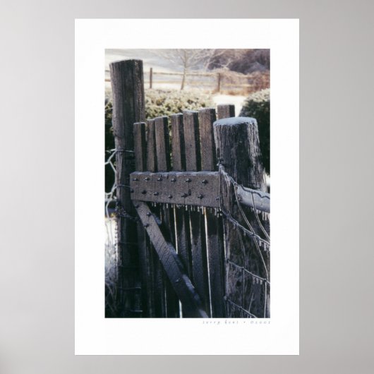 Das Tor Poster (Vorne)