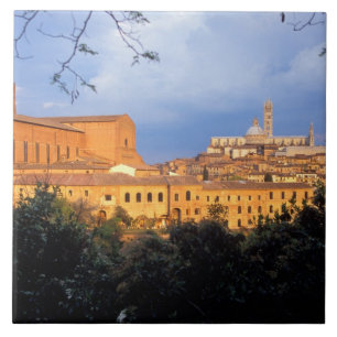 Das toskanische Dorf Sienna, Italien. Fliese