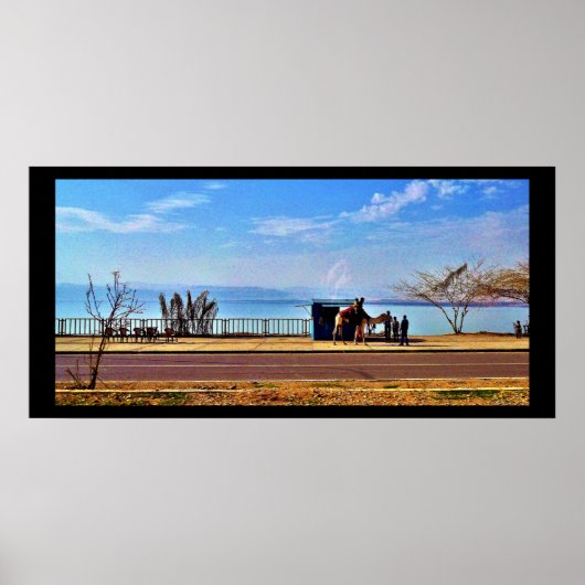 Das tote Meer Poster (Vorne)