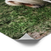 Das Träumen einer Hübschen Pony-Fotografie-Printwe Poster (Ecke)