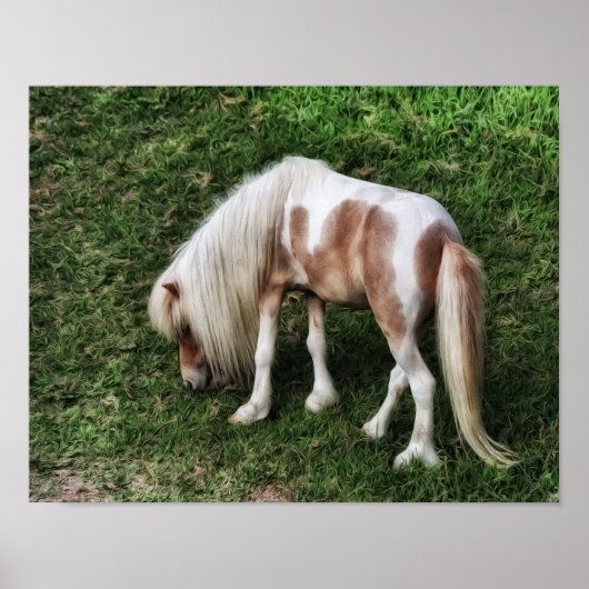 Das Träumen einer Hübschen Pony-Fotografie-Printwe Poster (Vorne)