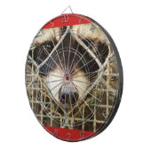 das traurige Aussehen eines Rackons hinter dem Käf Dartscheibe (Vorderseite rechts)