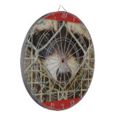 das traurige Aussehen eines Rackons hinter dem Käf Dartscheibe (Vorderseite Links)