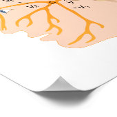 Das Trigeminusposter Poster (Ecke)