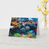 Das tropische Korallenriff Karte (Gelbe Blume)