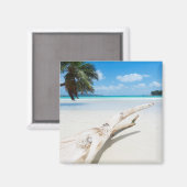 Das tropische Paradies der Seychellen Magnet (Vorderseite/Rückseite)