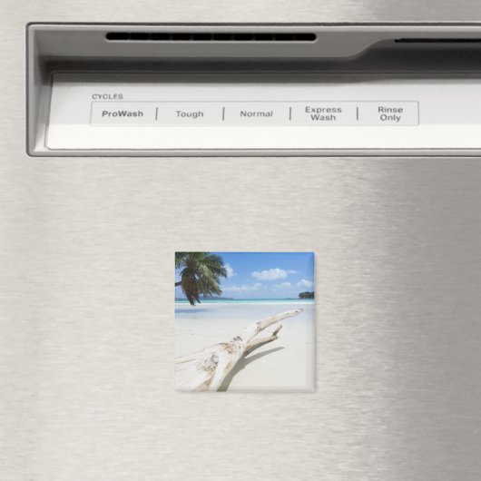 Das tropische Paradies der Seychellen Magnet (In Situ (Geschirrspüler))