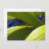 Das tropische Weihnachten einer Gecko-Eidechse (Vorne/Hinten)