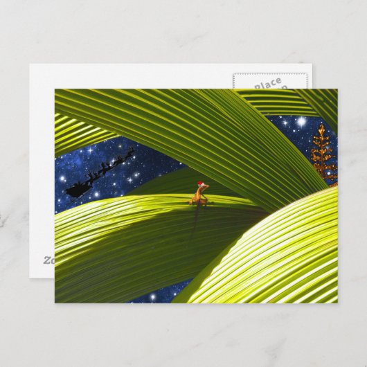 Das tropische Weihnachten einer Gecko-Eidechse (Vorne/Hinten)