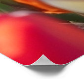 Das Tulipenfeld im Vollblut Poster (Ecke)