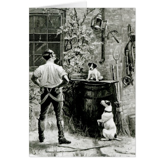 Das Überleben des Fittesten (Vorne)