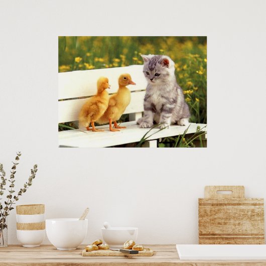 Das Ugly Duck Poster (Küche)